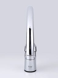��������� ��� ����� , FRAP ����, F4113-2