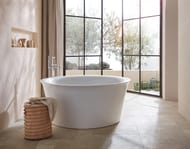 ��������� ��� ����� Duravit White Tulip WT5250000010 ���������, ������������ � ���. ����������, ����
