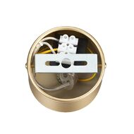 Подвесной светильник Lumion Toronto 6560/6, золото