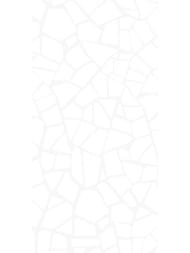 ������ ��������� AltaCera ������� (249x500) WT9SML00 (��.�)