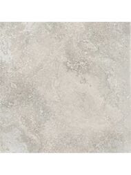 ��������������� ������ Porcelanite Dos Rapolano 1867 Grey (1000x1000) ��� ������ (��.�.)