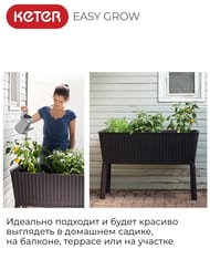 ����� KETER EASY GROW (114x49,3x75,5) �� ������, ����������