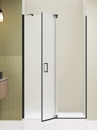 Душевая дверь RGW Hotel HO-014B (1300х2000) распашная, стекло 8мм матовое/черный 350601413-24 — изображение 4
