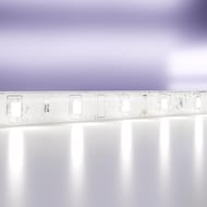 ������������ ����� Maytoni Led Strip 12� 2835 4,8��/� 6000K 5� IP65, �����, 10107