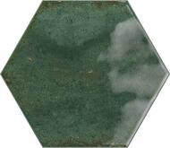 ������ ��������� RIBESALBES HOPE Olive Hex Glossy (150�173) ������� PT03129 (��.�.)