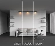 �������� ���������� Maytoni Zon (���) TR189-1-12W4K-BBS Levity 4000� 12�� 100�, IP20, ������