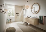 ������� ������� Hansgrohe Pulsify 24240000 Showerpipe 260 2jet � �����������, ����
