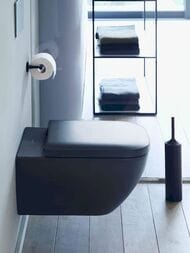 Сиденье для унитаза DURAVIT HAPPY D.2 с микролифтом, съемное, антрацит матовый/нерж.сталь 0064591300
