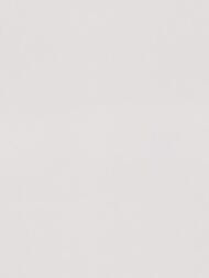 ���� ��������� �� ��������� Erismann Spotlight 2 ER12215-38 (1,06�10,05) ����� (���.)