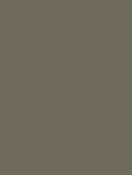 ���� ������������ LOYMINA Materials LOT1 137 (1�10,05) ���������, ������� (���.)
