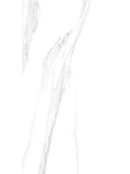 ��������������� ������ LCM ��������� (600x1200) 60120STA15P (��.�)