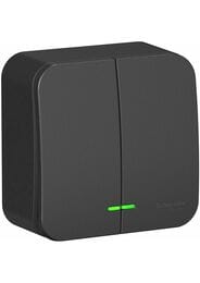 Выключатель Systeme Electric BLANCA 2-клавишный наруж. сх.5 с подсв. 10А 250В антрацит BLNVA105116