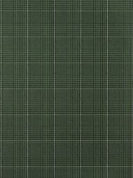 Обои виниловые на флизелине Thibaut Colony (0,69х8,22) зеленые T10202 (рулон)