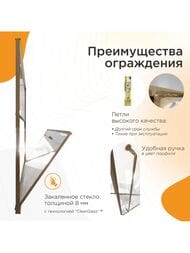 Душевая дверь левая Радомир Daria BO 1000х2200 стекло 8мм прозрачное/бронза 1-63-4-1-0-355