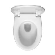 ��������: ����������� Vitra � �������� ���� + ������ VitrA S10 + ������� � ����������� 9842B003-7206