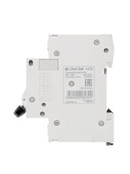 Выключатель Systeme Electric автоматический двухполюсный 40А С 4.5kA City9 Set C9F34240