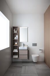 ������-���� Laufen CLEANET RIVA 820691 (600�395�415) ������������, ���������, � ���, �������� LCC