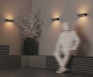 Настенный светильник Maytoni Lot (Лот) O428WL-L20GF3K, 3000K 20Вт IP 65, графит — изображение 3