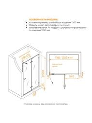 Душевая дверь RGW Stilvoll SV-004Gr (1000х2000) распашная, стекло 8мм прозрачное/серый 353200410-110