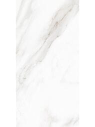 ��������������� ������ Delacora ��������� ������ (300x600) D30019M (��.�)