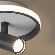 Потолочный светильник Freya Neo (Нео) FR6040CL-L14B, 4000 K, 80 Ra, 220/240 V, IP20черный