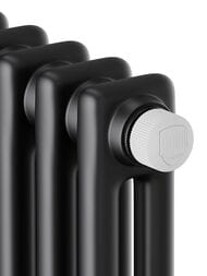 ������-�������� Royal Thermo INSIGNIA VC2180 10 ���. 470�1800�68, ��������, ������ �����, ������ ���