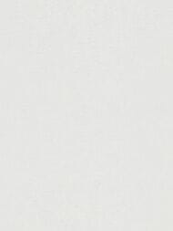 ���� ��������� �� ��������� Erismann Gentle ER12207-01  (1,06�10,05) ����� (���.)