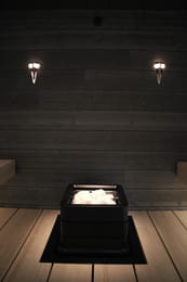 ���������� CARIITTI ����� TL-100 ����. �����, 1545801