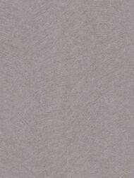 ���� ��������� �� ��������� Erismann Gentle  ER12211-37 (1,06�10,05) ���������� (���.)