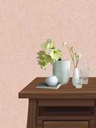 ���� ��������� �� ��������� Erismann Gentle ER12207-23 (1,06�10,05) ������� (���.)