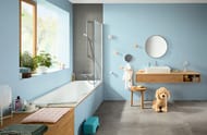 ��������� Hansgrohe Ecostat E 15774000 ��� ����� ���������, ��������� ������, ����� 183��, ����