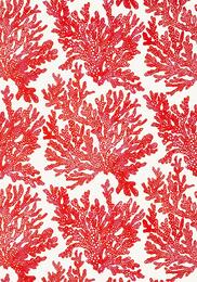 ���� �������� Thibaut Tropics (0,69�8,22) ������� T10120 (�����)