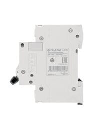 Выключатель Systeme Electric автоматический двухполюсный 10А С 4.5kA City9 Set C9F34210
