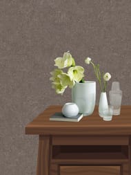 ���� ��������� �� ��������� Erismann Gentle ER12207-11 (1,06�10,05) ���������� (���.)