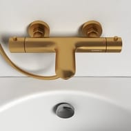 ��������� ��� ����� � ���� Abelsberg Perfecta INF61101BG � �����������, ����������� ������