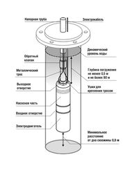����� ���������� BELAMOS ������ TF3-40 3" ������ 20 �