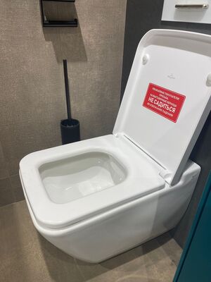 ������! ������ ��������� Villeroy & Boch Finion PLUS (375�560) � ��������, ����: �����