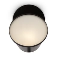 Настенный светильник Freya Tint (Тинт) FR5179WL-01B, 220/240 V, IP20,черный