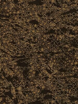 ���� ��������� �� ��������� ROBERTO CAVALLI Home 8 (1,06�10,05) �����, ���������� 19040 (���.)