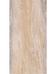 ������ ��������� New Trend ������� (300x600) WT36VOC08 (��.�)
