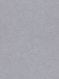 ���� ��������� �� ��������� Erismann Gentle ER12207-10 (1,06�10,05) ���������� (���.)