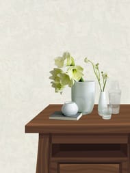 ���� ��������� �� ��������� Erismann Gentle ER12210-01 (1,06�10,05) ����� (���.)