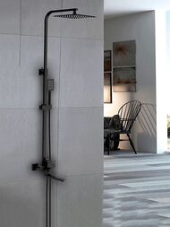 ������� ������� � ���������� �������, ������ � ������� ����� , FRAP ������, F24802-6