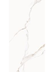 ��������������� ������ Delacora ��������� ������� (600x1200) 60120CMI01 (��.�)