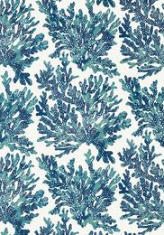 ���� �������� Thibaut Tropics (0,69�8,22) ������� T10124 (�����)
