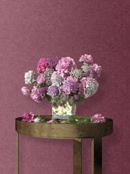 ���� ��������� �� ��������� Erismann Gentle ER12207-06  (1,06�10,05) ���������� (���.)