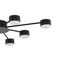 Потолочная люстра Lumion Comfi Torina 8344/8C, черный