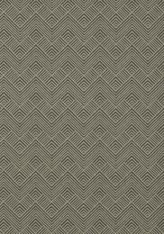 ���� �������� Thibaut Paramount (0,52�10,06) ����������T2989 (�����)