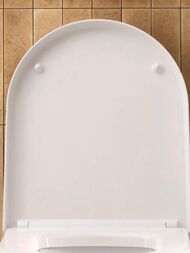 Сиденье для унитаза DURAVIT BALCOON с микролифтом, белое матовое/петли сталь 0027793200 — изображение 3