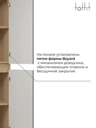 Пенал подвесной toHit Vernal 35 300x350x1500 универсальный, цвет дуб эврика/графит мат. TH04-010435